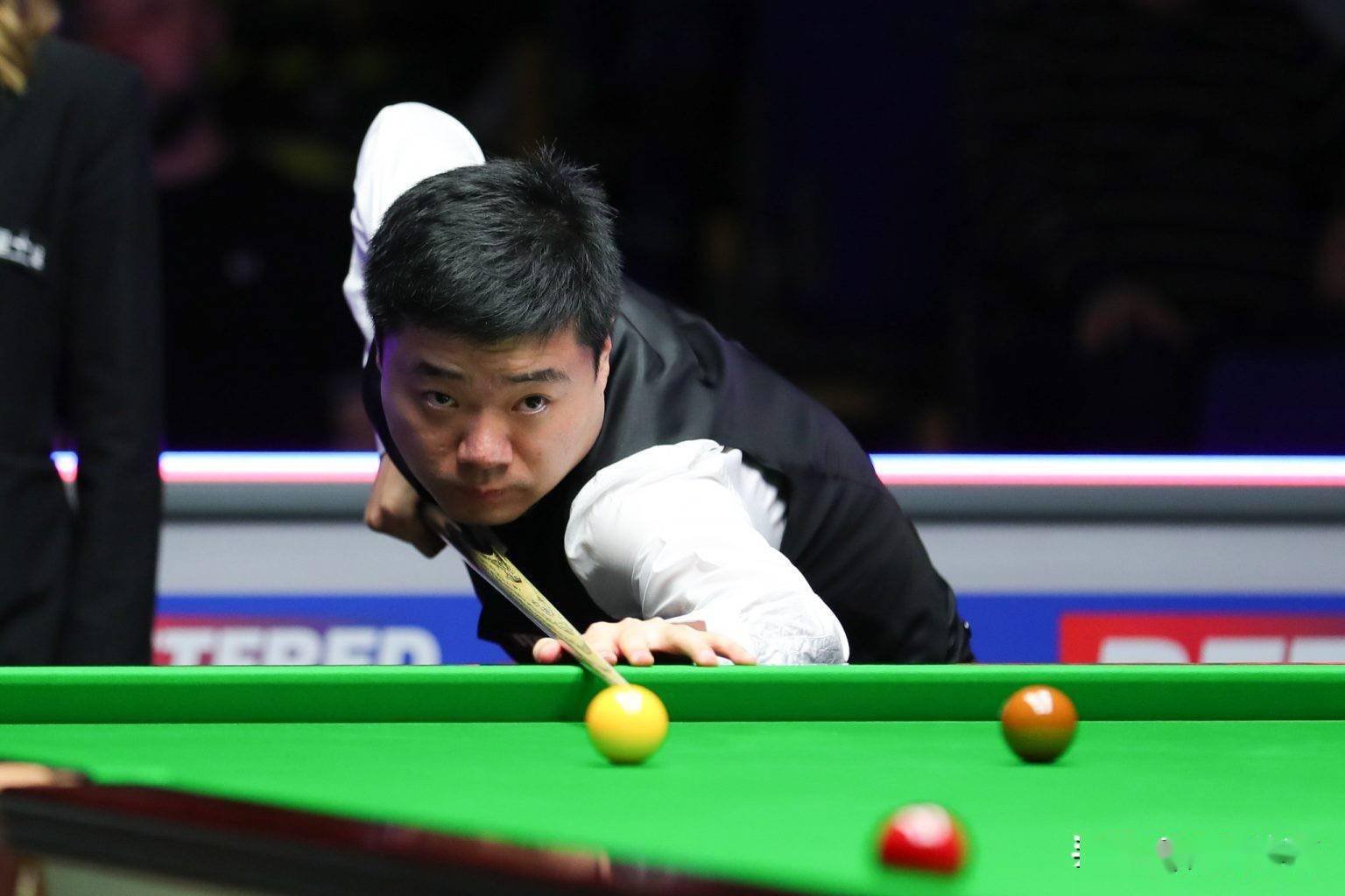 单日收获 单日收获