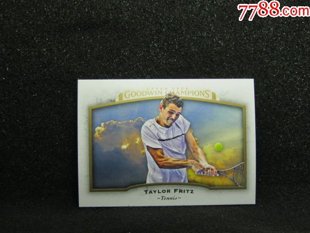 的足球裁判 的足球裁判