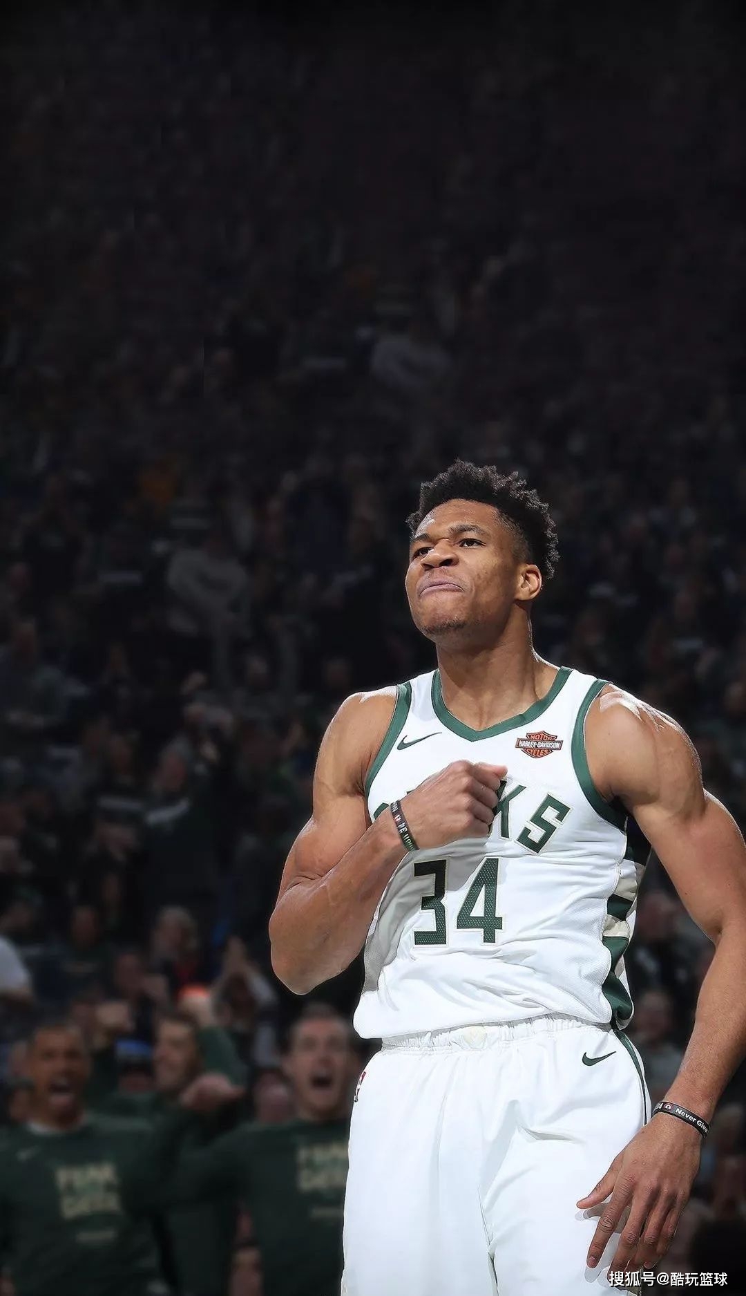 东契奇急停 东契奇急停